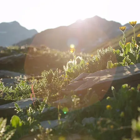 Baerghuis Jochpass - Alpine Hideaway - 2222muem 3* Engelberg