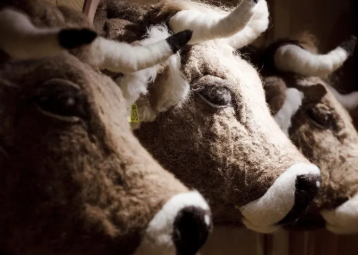 Baerghuis Jochpass - Alpine Hideaway - 2222muem 3* Engelberg