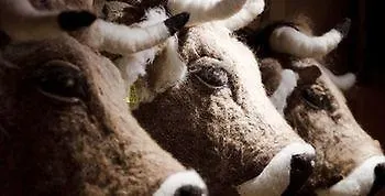 Hotel Bärghuis Jochpass - Alpine Hideaway - 2222müm Engelberg