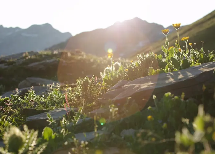 Bärghuis Jochpass - Alpine Hideaway - 2222müm 3* Engelberg