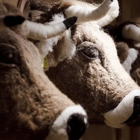 Baerghuis Jochpass - Alpine Hideaway - 2222muem 3* Engelberg